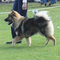 krefeld09 (8)